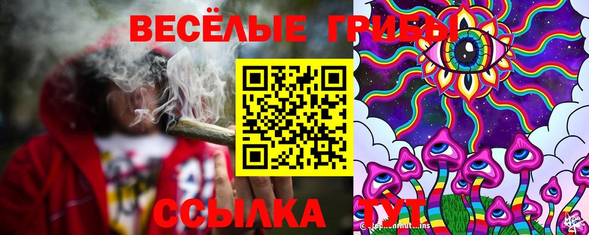 Псилоцибиновые грибы Psilocybe Нефтеюганск